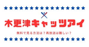 ドラマ『木更津キャッツアイ』配信情報｜無料で見る方法は？再放送は難しい？